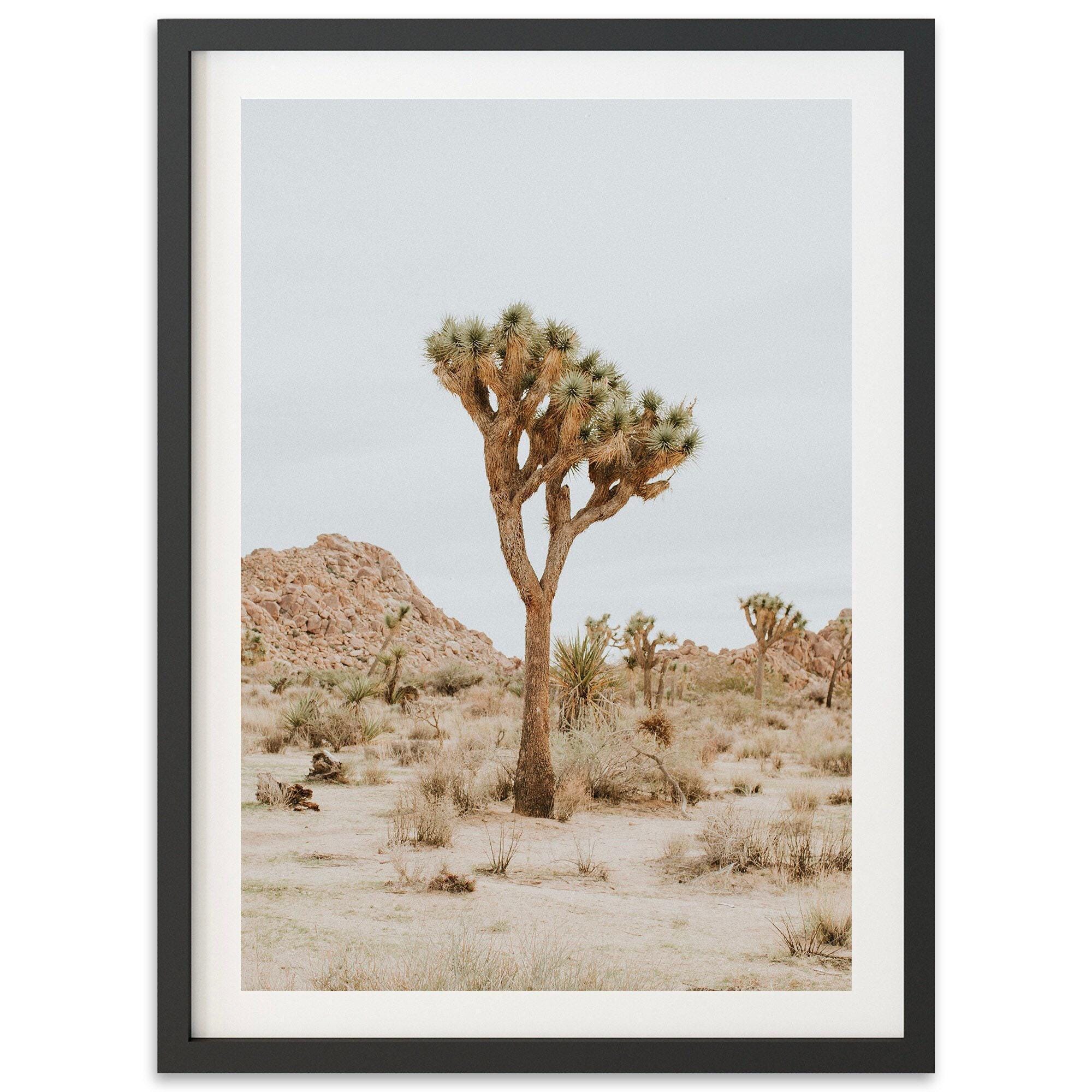 Framed Joshua Tree Fine Art Print | Desert Photography, Western Wall ...