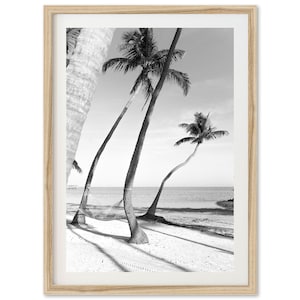 Framed Black and White Beach Print | Florida Palm Tree Photography Wall Art