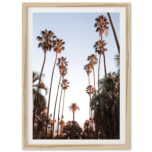 Framed Palm Tree Print | Beverly Hills Photography, Home Wall Decor, Los Angeles, California