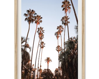 Framed Palm Tree Print | Beverly Hills Photography, Home Wall Decor, Los Angeles, California