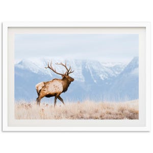 Framed Fine Art American Elk Bull Print - Landscape Nature Wildlife Mountain Deer Stag Framed Fine Art Photography Home Wall Decor