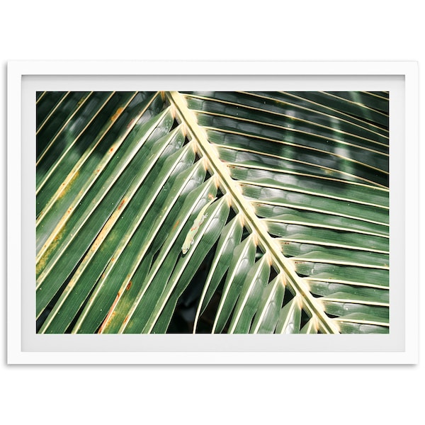 Fine Art Hawaii Gecko Print - Tropical Boho Foliage Wildlife Palm Tree Framed Fine Art Photography Beach Home Wall Decor