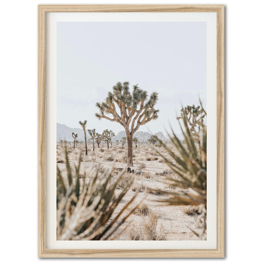 Framed Joshua Tree Photography Print | Southwest Desert Portrait ...