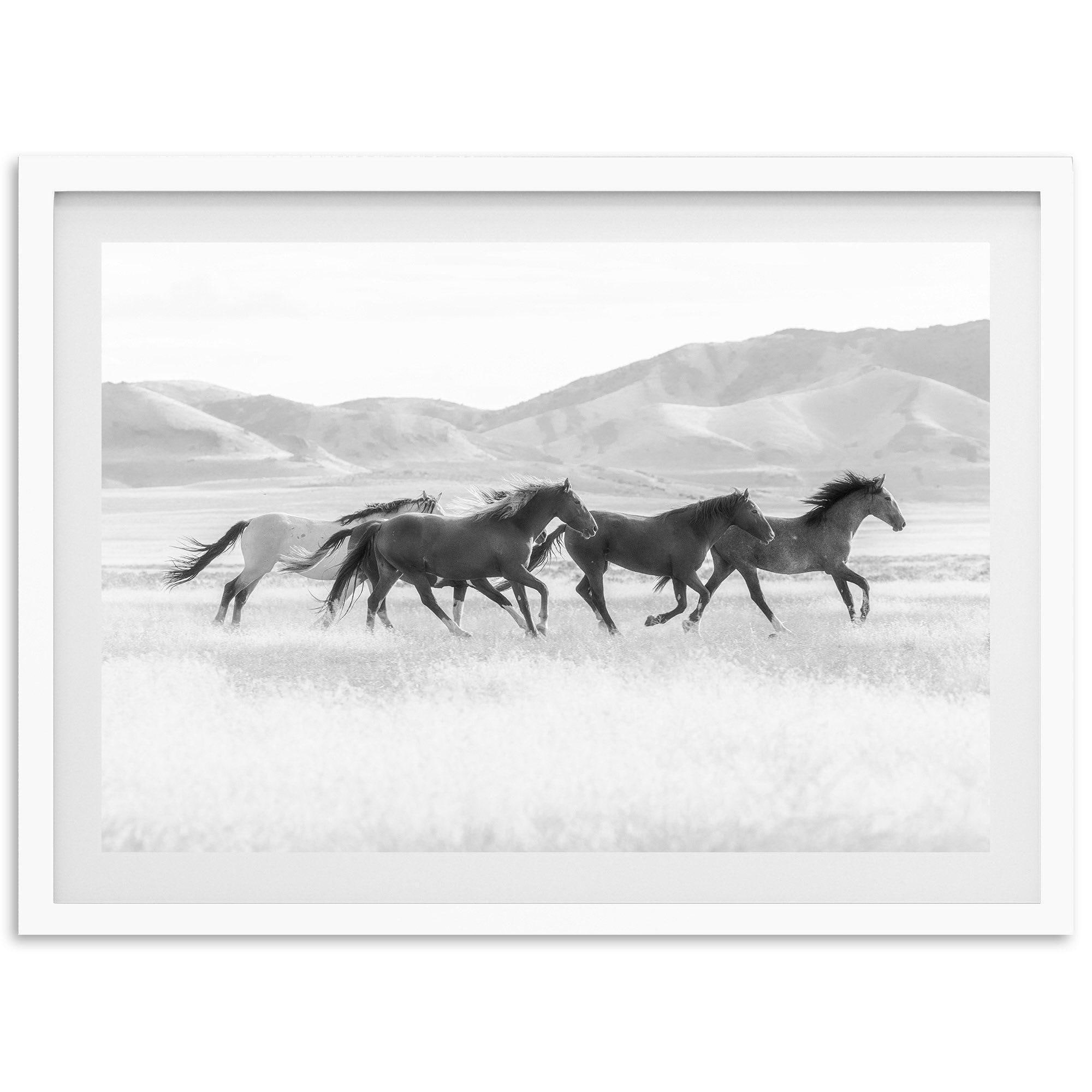 Framed Black & White Horse Print | Wild Mustang Photography, Western ...