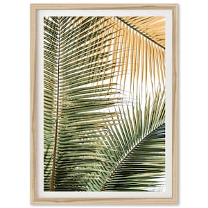 Fine Art Coastal Print - Boho Palm Tree Leaves, Framed Fine Art Photography, Coastal Wall Decor, Tropical, Green