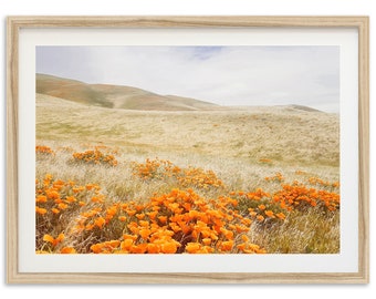 Fine Art California Wall Art Photography Print - Wild Mountain Poppy Flowers Superbloom Desert Landscape Framed Print Home Decor