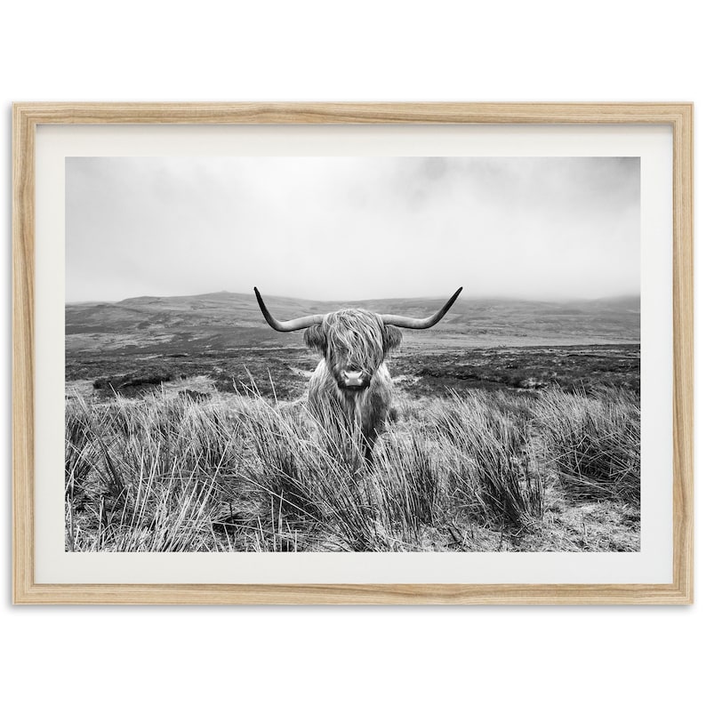 Fine Art Highland Cow Print Black and White Longhorn Bull Mountain Farmhouse Nature Framed Fine Art Photography Home Wall Decor image 1