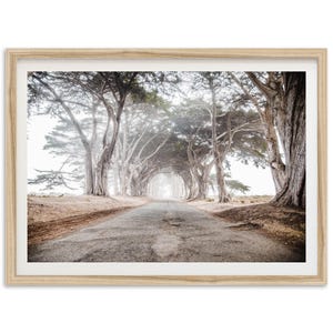 Fine Art kustbomen print - California Coast Cypress Tunnel Point Reyes ingelijste Fine Art Photography Home Wall Decor