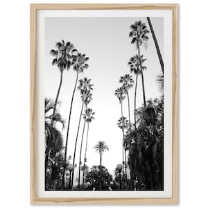 Framed Fine Art California Framed Print - Black and White Beverly Hills Los Angeles Palm Trees Framed Photography Print Home Wall Decor