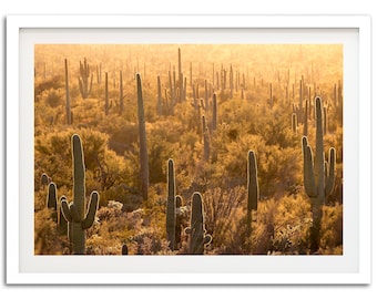 Fine Art Desert Print - Saguaro National Park Cactus Landscape Framed Photography Home Wall Decor