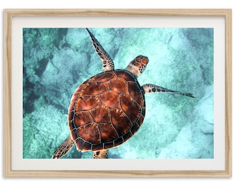 Framed Sea Turtle Print | Hawaii Ocean Wildlife Fine Art Photography