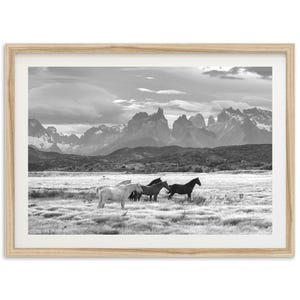 Framed Wild Horse Wall Art | Black and White Photography Print, Mountain Decor, Patagonia