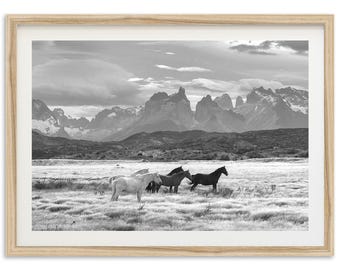Framed Wild Horse Wall Art | Black and White Photography Print, Mountain Decor, Patagonia