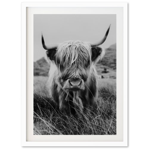 Highland Cow Canvas Print // Highland Cow Black and White Etsy