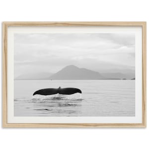 Framed Whale Tail Fine Art Print | Black and White Coastal Photography