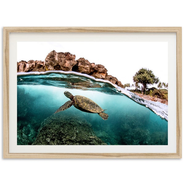 Fine Art Sea Turtle Ocean Print - Marine Wildlife Hawaii Framed Fine Art Photography Home Wall Decor