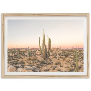 Fine Art Desert Art Photography Print - Southwestern Landscape Sunset Baja California Mexico Cactus Framed Fine Art Home Wall Decor