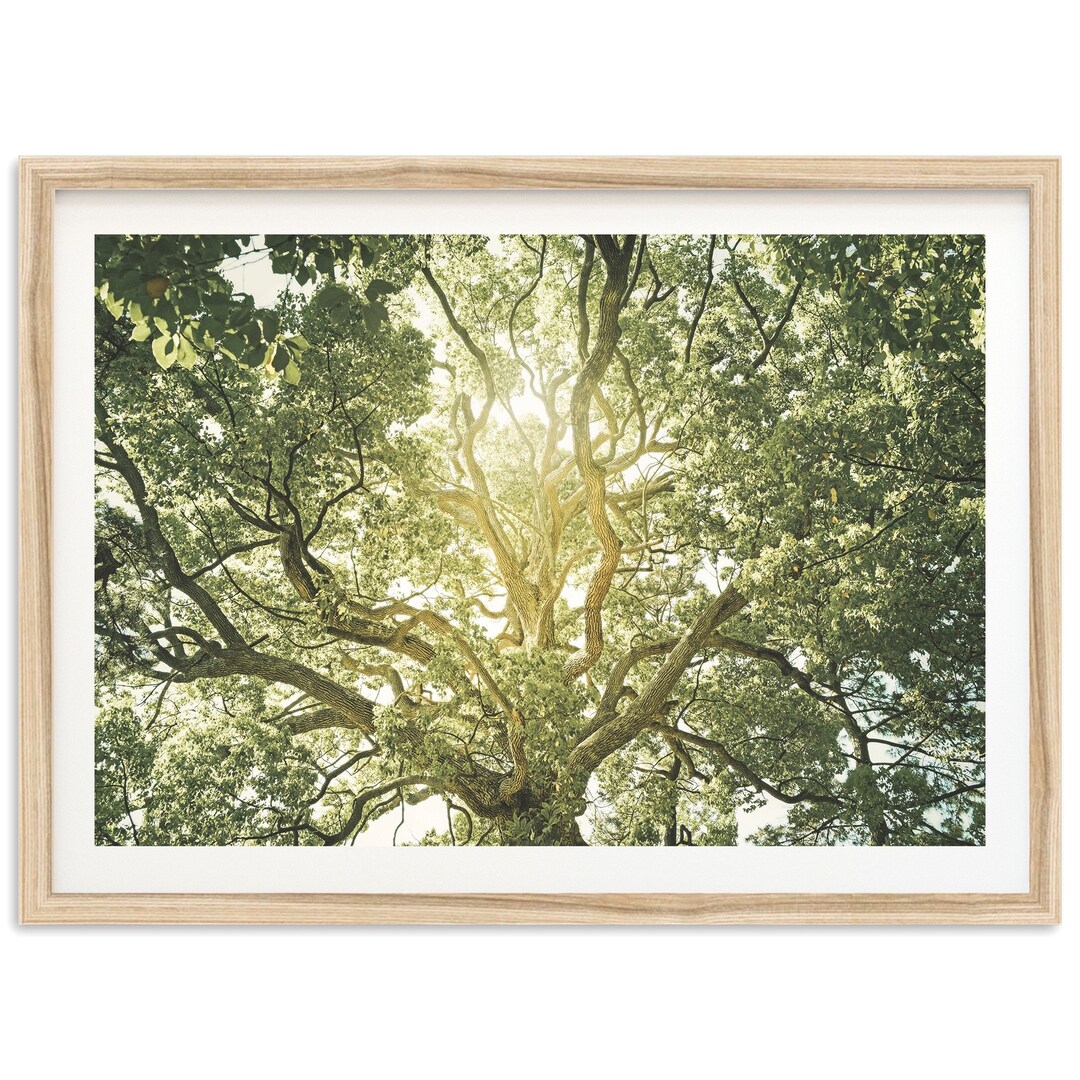Fine Art Tree of Life Print - Abstract Green Forest Landscape Framed ...