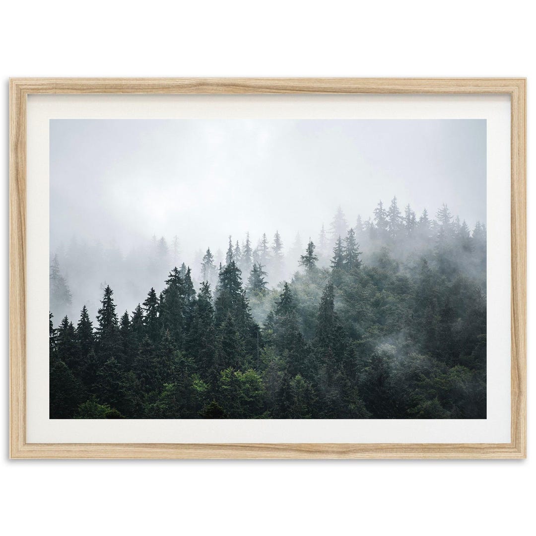 Framed Foggy Forest Print | Landscape Fine Art Photography, Tree Wall ...