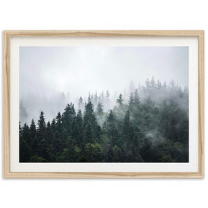 Framed Foggy Forest Print | Landscape Fine Art Photography, Tree Wall Decor