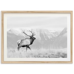 Framed Elk Fine Art Print | Black and White Mountain Wildlife Photography