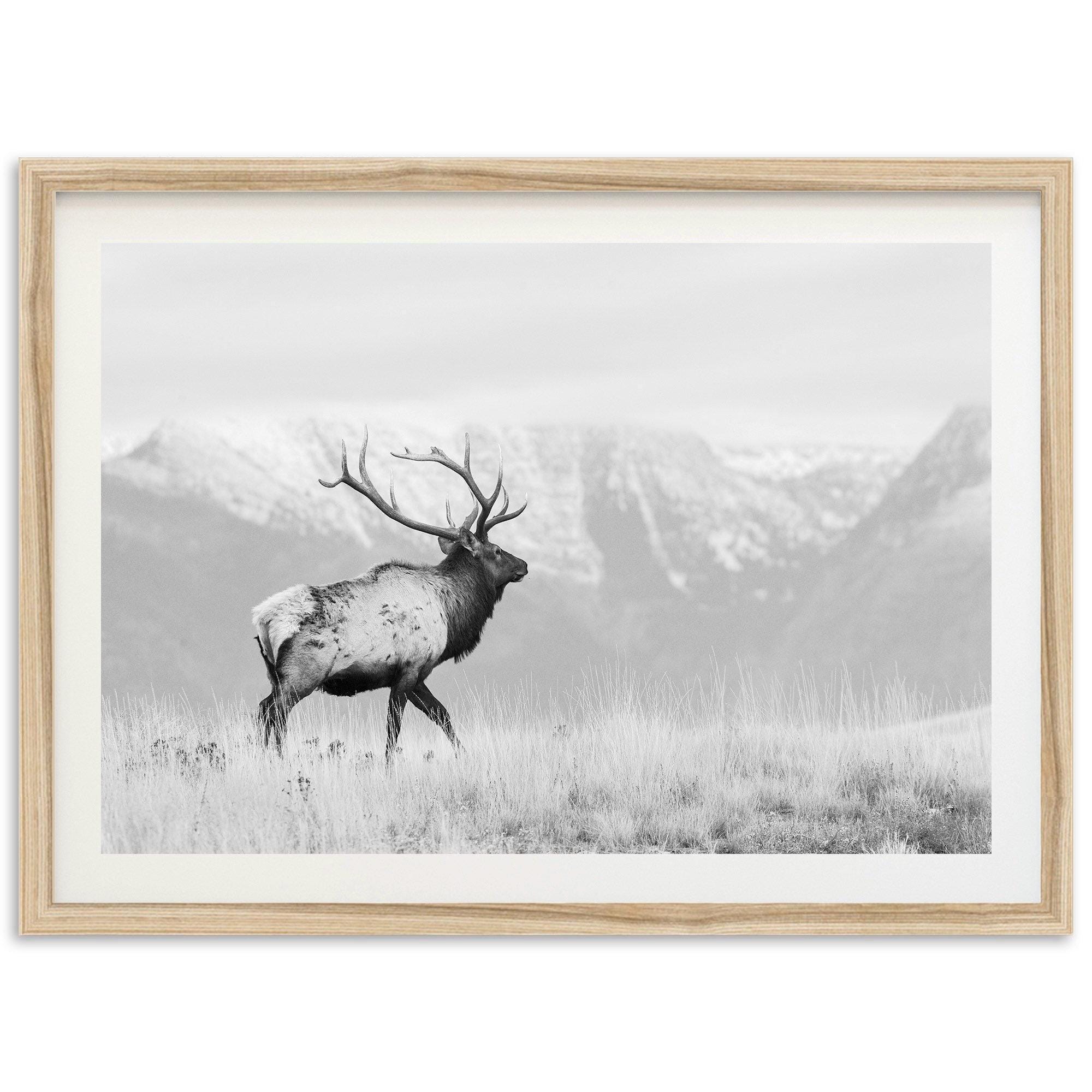 【 L出品 】 50×40cm size art il_fullxfull.7331796554_mr6q.jpg