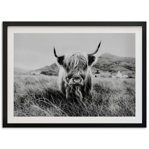 Highland Cow Canvas Print // Highland Cow Black and White Etsy