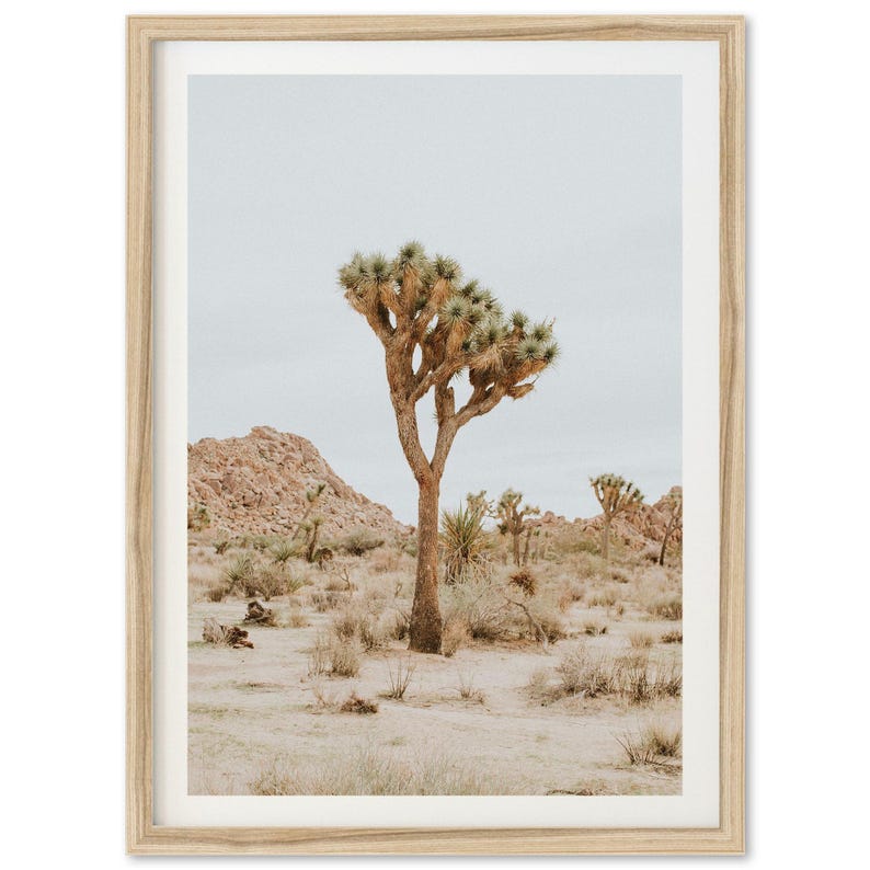 Framed Joshua Tree Fine Art Print | Desert Photography, Western Wall ...