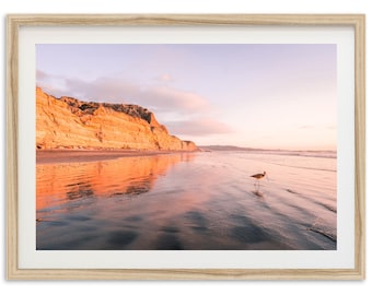 Framed Sea Bird Beach Print | San Diego Coastal Photography Art, Torrey Pines, La Jolla