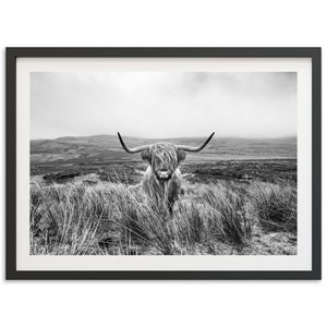 Fine Art Highland Cow Print Black and White Longhorn Bull Mountain Farmhouse Nature Framed Fine Art Photography Home Wall Decor image 3