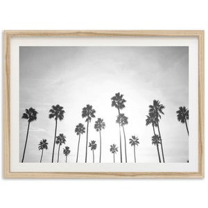 Fine Art Palm Trees Beach Print - Black and White California Ocean Framed Fine Art Photography Home Wall Decor
