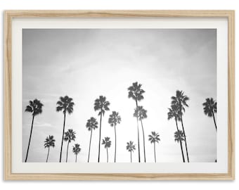 Fine Art Palm Trees Beach Print - Black and White California Ocean Framed Fine Art Photography Home Wall Decor