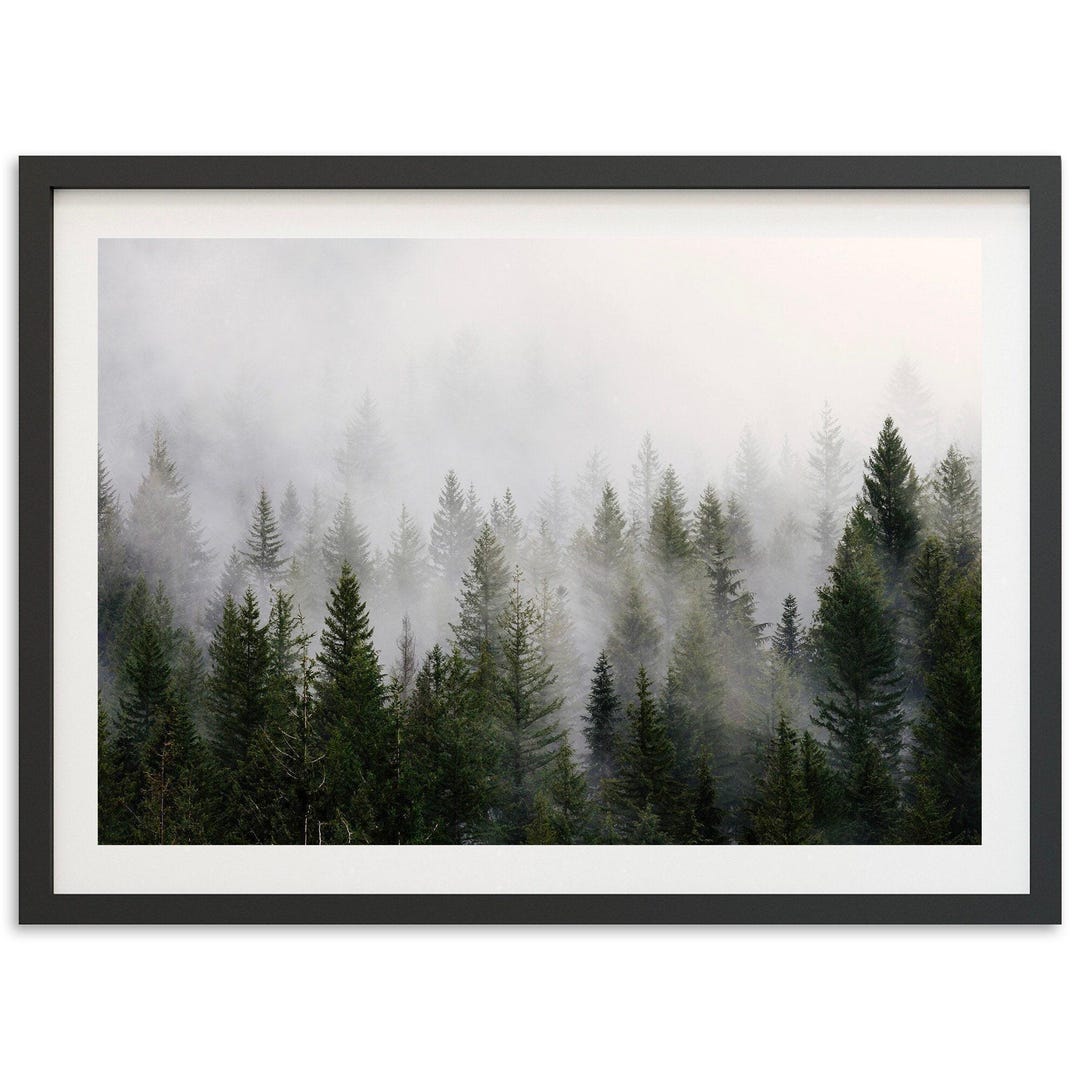 Framed Misty Forest Print | Mountain Wall Art, Pine Tree Photography ...
