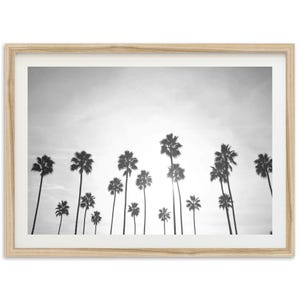 Impressão de palmeiras de belas artes - decoração de parede costeira emoldurada em preto e branco, Swamis, Encinitas, San Diego, Califórnia Fotografia de praia
