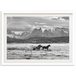 Fine Art Wild Horses Mountain Print Black and White Animal Nature Patagonia Framed Fine Art Photography Wall Decor image 2