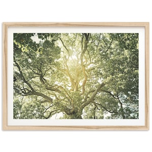Fine Art Baum des Lebens Druck - Gerahmter Fotografie Druck, Wald Wandkunst, Cottage Kern Wanddekoration, Küsten Großmutter Wandkunst