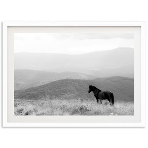 Fine Art Wild Horse Mountain Print - Black and White Countryside Landscape Nature Framed Fine Art Photography Wall Decor