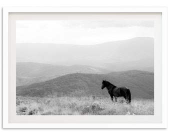 Fine Art Wild Horse Mountain Print - Black and White Countryside Landscape Nature Framed Fine Art Photography Wall Decor