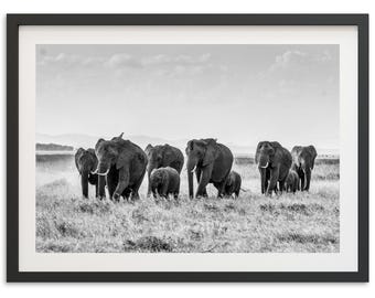 Framed Elephant Wildlife Photography | Black & White Fine Art Print