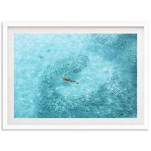 Framed Fine Art Ocean Shark Print - Aerial Tropical Water Beach House Wildlife Animal Nature Framed Fine Art Photography Wall Decor