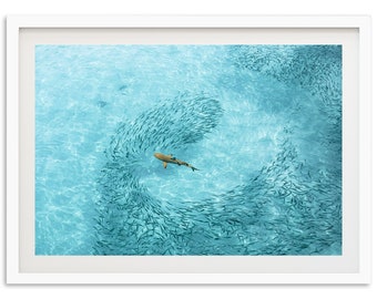 Fine Art Ocean Shark Print - Aerial Tropical Water Beach House Wildlife Animal Nature Framed Fine Art Photography Wall Decor
