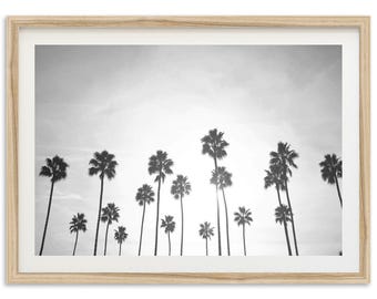 Framed Palm Tree Photography Print | Coastal Black and White Wall Art