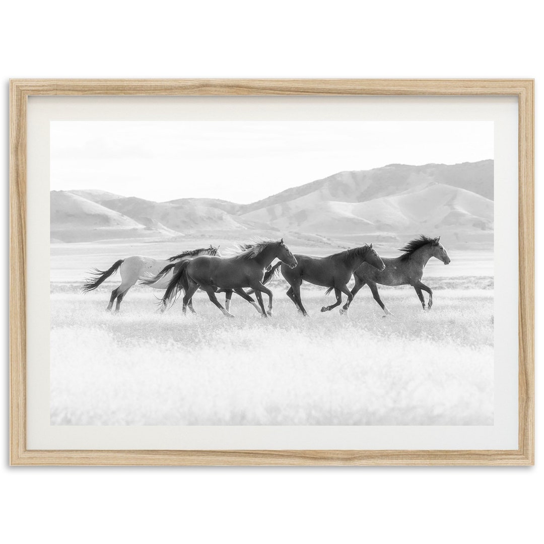 Fine Art American Horses Print Black and White Landscape - Etsy