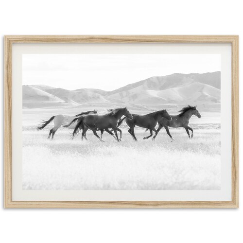 Horses Running Photography Print Framed Equine Wall Art Etsy