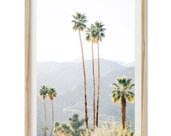 Framed Palm Springs Print | Desert Palm Trees Fine Art Photography