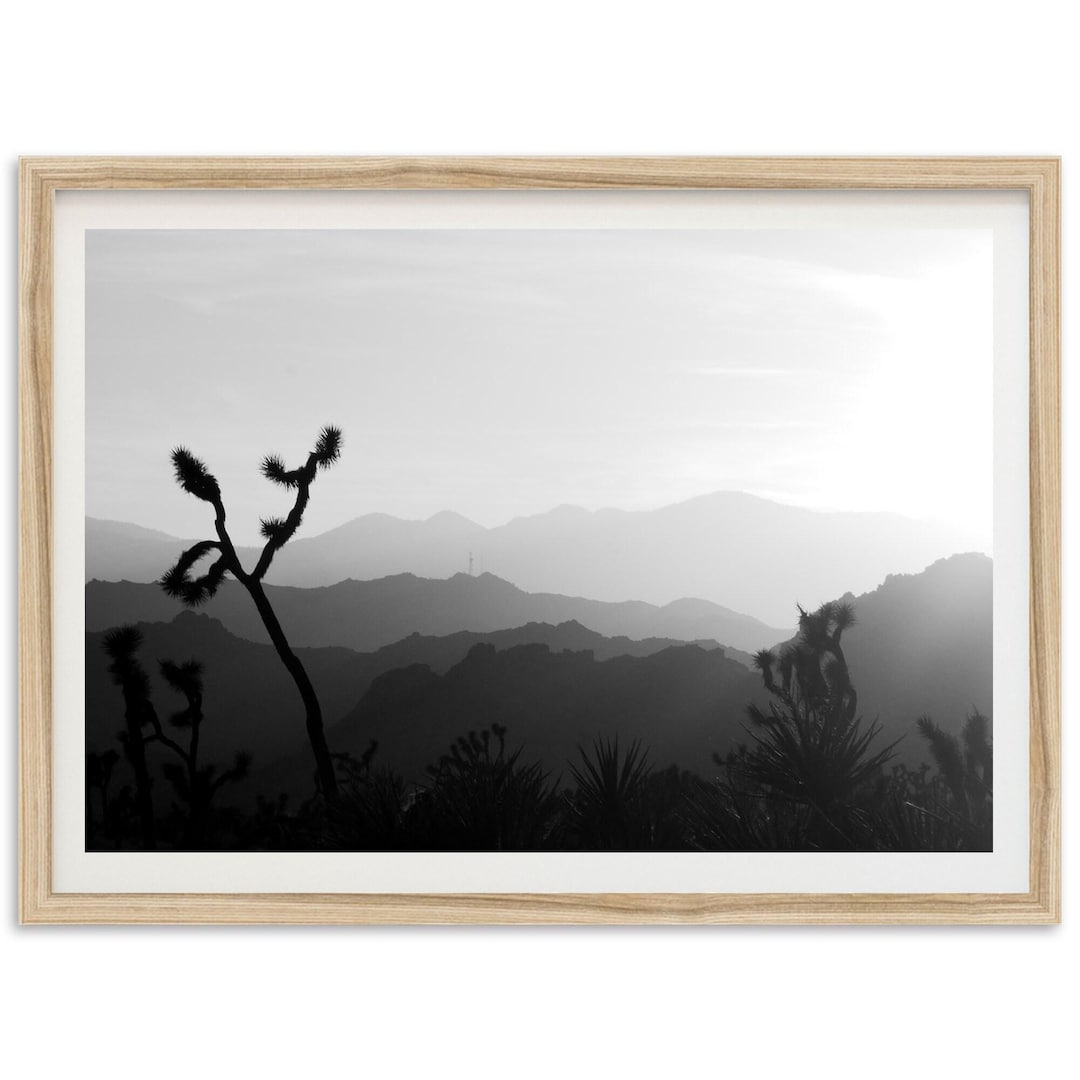 Fine Art Joshua Tree Print - Black and White Desert Landscape Framed ...