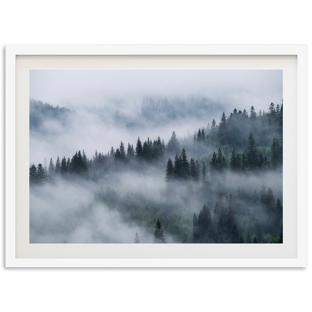 Fine Art Foggy Forest Print Misty Mountain Landscape Pine Trees Framed ...