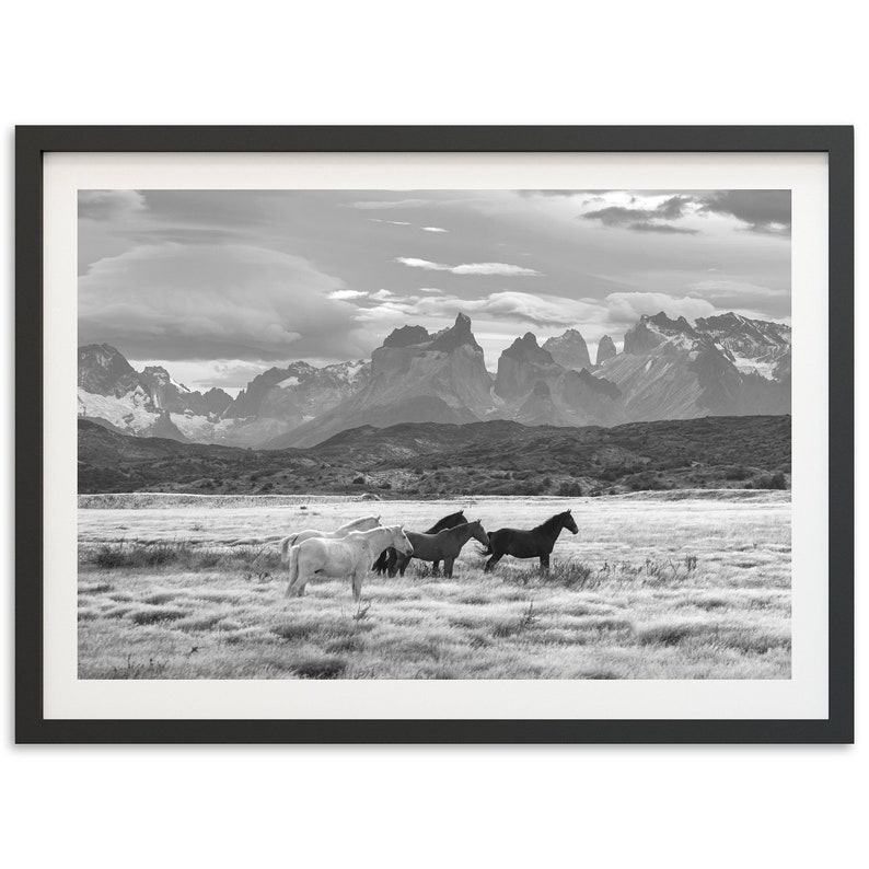 Fine Art Wild Horses Mountain Print Black and White Animal Nature Patagonia Framed Fine Art Photography Wall Decor image 3