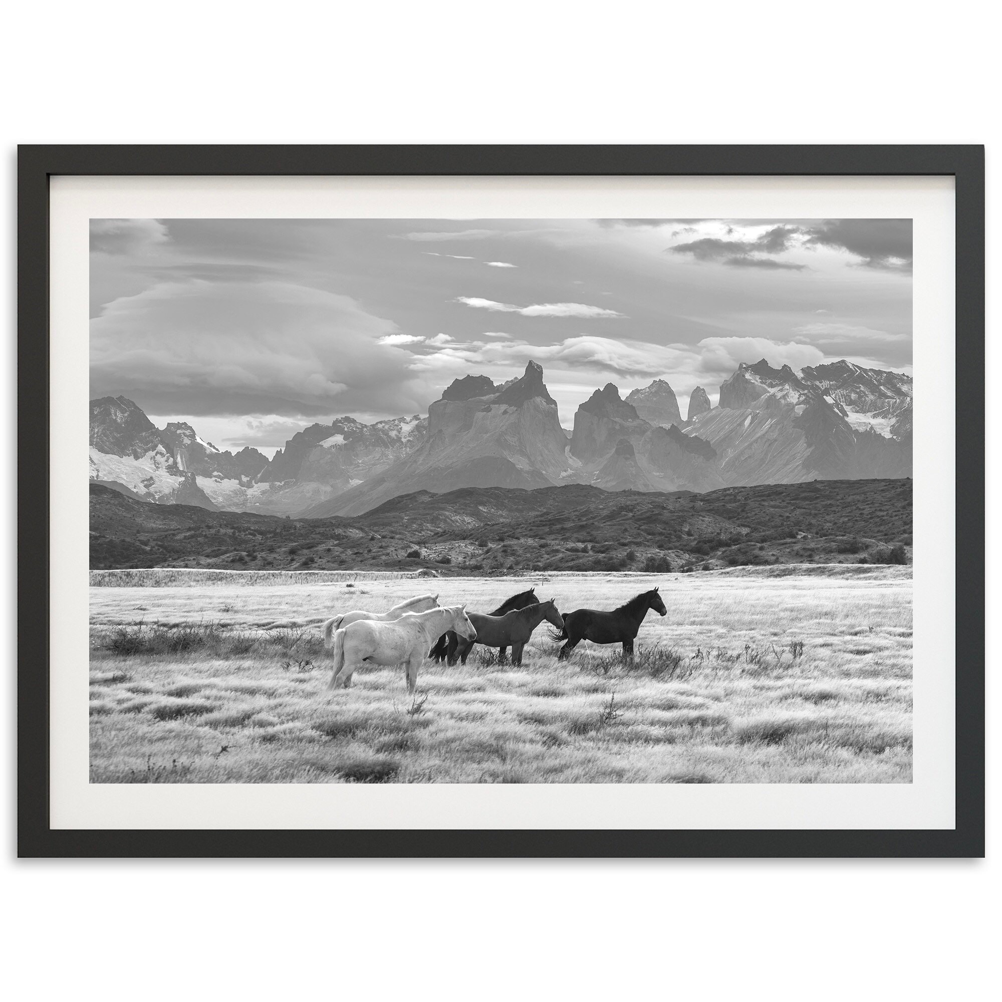 Wild Horses Mountain Print Black & White Mustangs Animal - Etsy