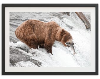Framed Grizzly Bear Print | Wildlife Fine Art Photography, Montana Mountain Wall Decor
